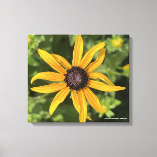 greyforaday Yellow Floral Print