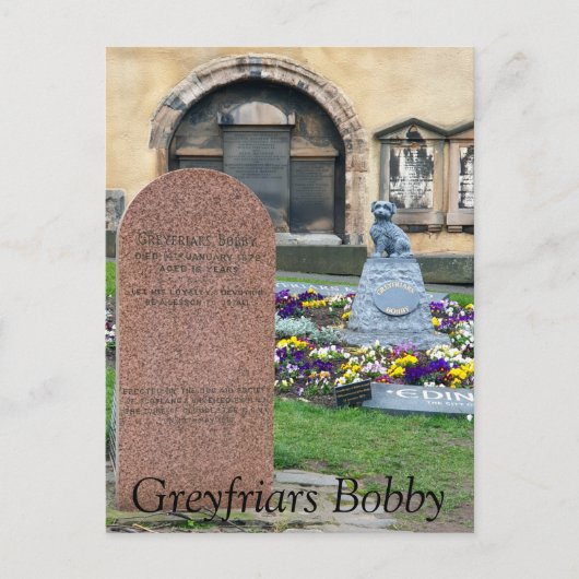 Greyfriars Bobby, Edinburgh Briefkaart (Voorkant)