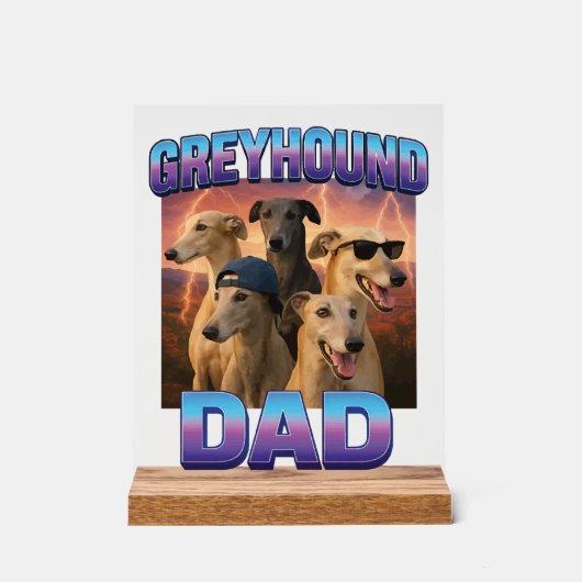 Greyhound (Recto)