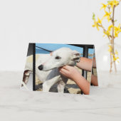 Greyhound 3D Effet Carte de voeux Anniversaire (Fleur jaune)