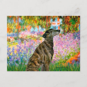 Greyhound (br2) - Tuin Briefkaart