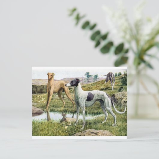 Greyhound Briefkaart (Staand voorkant)