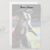 Greyhound briefpapier (Voorkant / Achterkant)