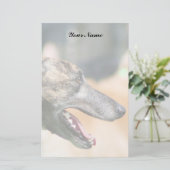 Greyhound briefpapier (Staand voorkant)