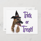 Greyhound (brindle) Trick Briefkaart (Voorkant / Achterkant)