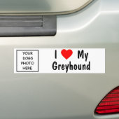 Greyhound Bumpersticker (Op auto)