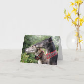 Greyhound carte photo (p343) (Fleur jaune)