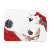 Greyhound Christmas Magnet - Pour la Charité (Horizontal)