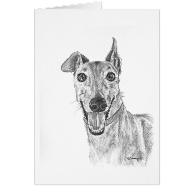 Greyhound Closeup Drawing (Voorkant)