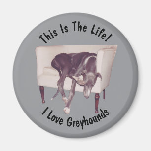 Greyhound Dit Is Het Leven  Magneet