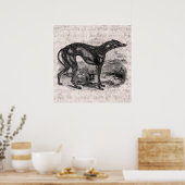  Greyhound Dog 1800s Greyhounds Dogs Poster (Keuken)