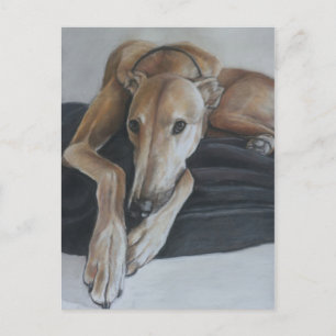 Greyhound Dog Art Briefkaart