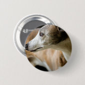Greyhound Dog Button (Voorkant /achterkant)