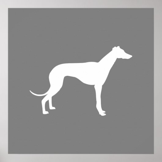 Greyhound Dog Poster (Voorkant)