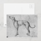 Greyhound door Albrecht Durer Briefkaart (Voorkant / Achterkant)