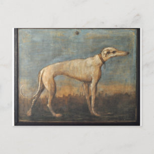Greyhound door Giovanni Domenico Tiepolo Briefkaart