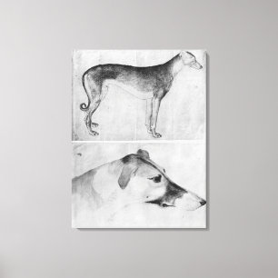 Greyhound en hoofd van een windhond canvas afdruk