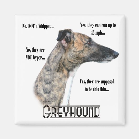 Greyhound FAQ Magnet (Devant)