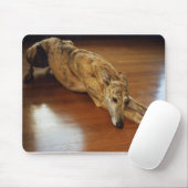 Greyhound Floor Work Muismat (Met muis)