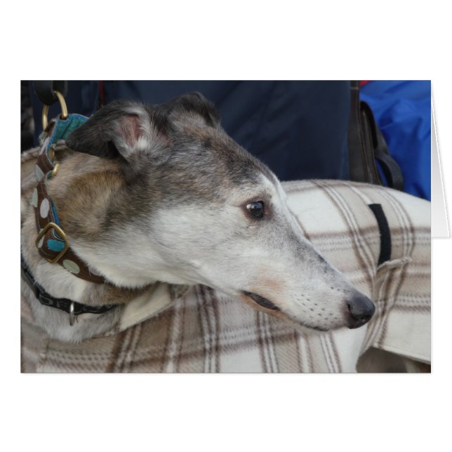 Greyhound-fotokaart (Voorkant Horizontaal)