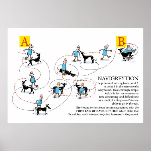 Greyhound Glossary Navigreyy Poster (Voorkant)