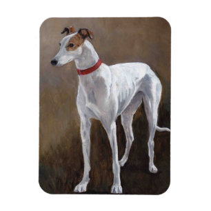 Greyhound Gus Dog Art Magnet Magneet