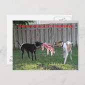 Greyhound heartstrings briefkaart (Voorkant / Achterkant)