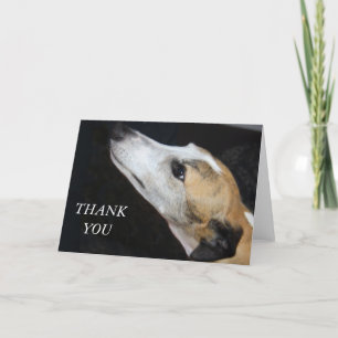 Greyhound hond dank je kaart