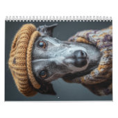 Greyhound Kalender (Hoes)
