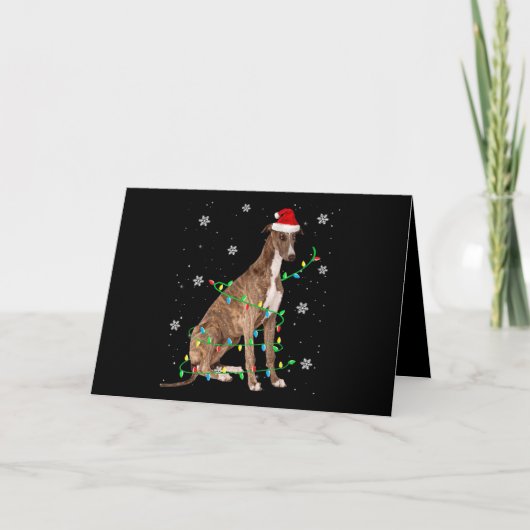 greyhound kerstverlichting leuke kerstman greyhoun feestdagen kaart (Voorkant)