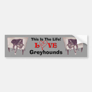 Greyhound Liefde Dit Is Het Leven Leuk Bumpersticker