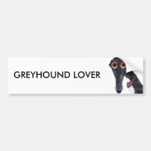 GREYHOUND LIEFHEBBER