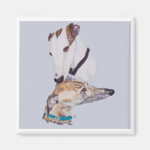 Greyhound magnet magneet