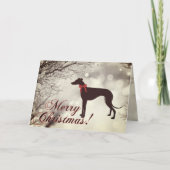 Greyhound Merry Christmas Greeting Card Kaart (Voorkant)