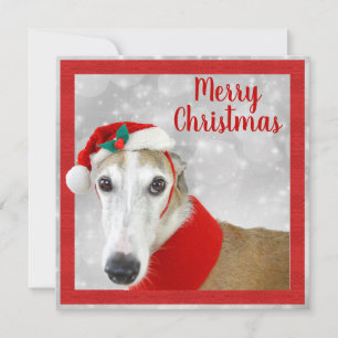Greyhound Merry Kerstmis