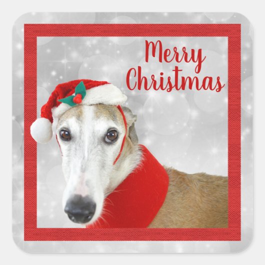 Greyhound Merry Kerstmis Vierkante Sticker (Voorkant)
