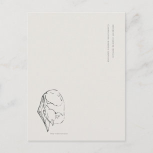 Greyhound- Naturalist Menagerie Archief  Briefkaart