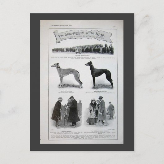  Greyhound News Knippen Briefkaart (Voorkant)