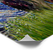 Greyhound Pair - Sterrennacht Poster (Hoek)