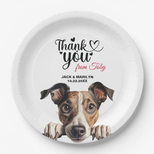 Greyhound Papieren Bordje (Voorkant)