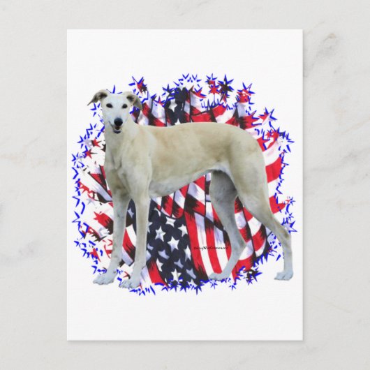 Greyhound Patriot Briefkaart (Voorkant)