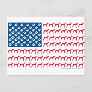 Greyhound Patriotic Flag Briefkaart