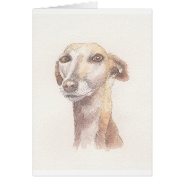 Greyhound portret (Voorkant)