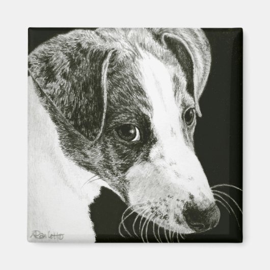 Greyhound Pup Magnet - "Paddy" Magneet (Voorkant)