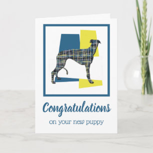Greyhound Puppy Dog Gefeliciteerd Wenskaart Kaart