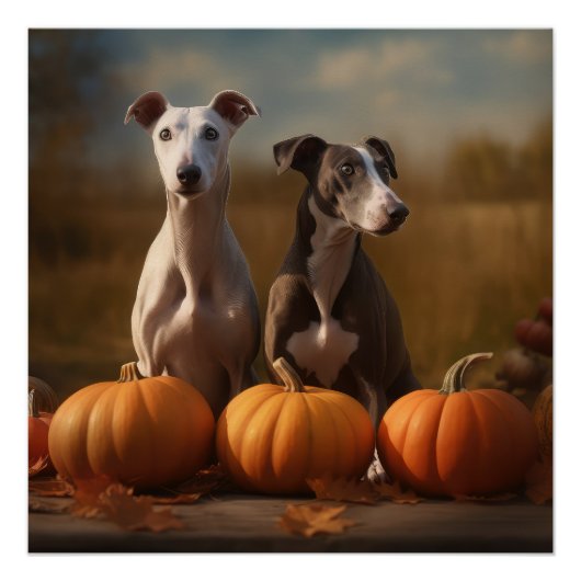 Greyhound Puppy Herfst Delight Pompoen Perfect Poster (Voorkant)