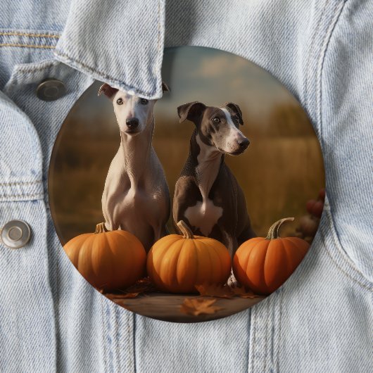 Greyhound Puppy Herfst Delight Pompoen Ronde Button 6,0 Cm (In situ)