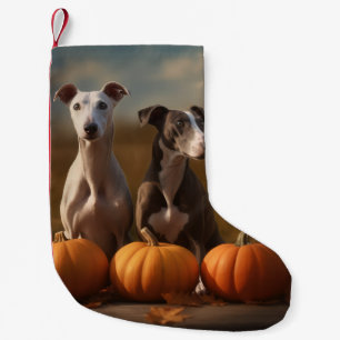 Greyhound Puppy Herfstvreugd Pompoen Kleine Kerstsok