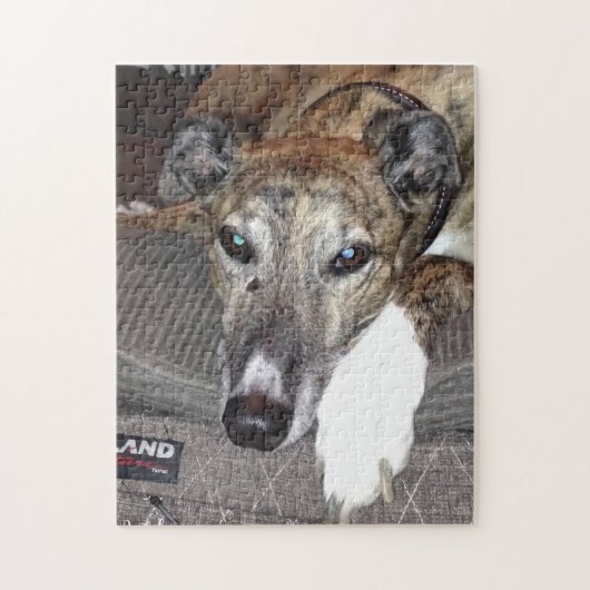 Greyhound Puzzle Legpuzzel (Verticaal)
