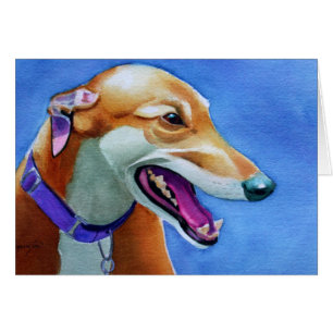 Greyhound Rescue Dog